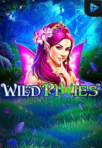 Wild Pixies